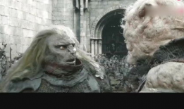 人兽视频,揭秘神秘生物与人类共存的奇幻世界