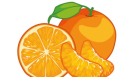 橙子漫画图片,趣味横生的日常瞬间