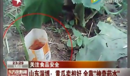 17c吃瓜蘑菇视频爆料,揭秘娱乐圈惊人内幕